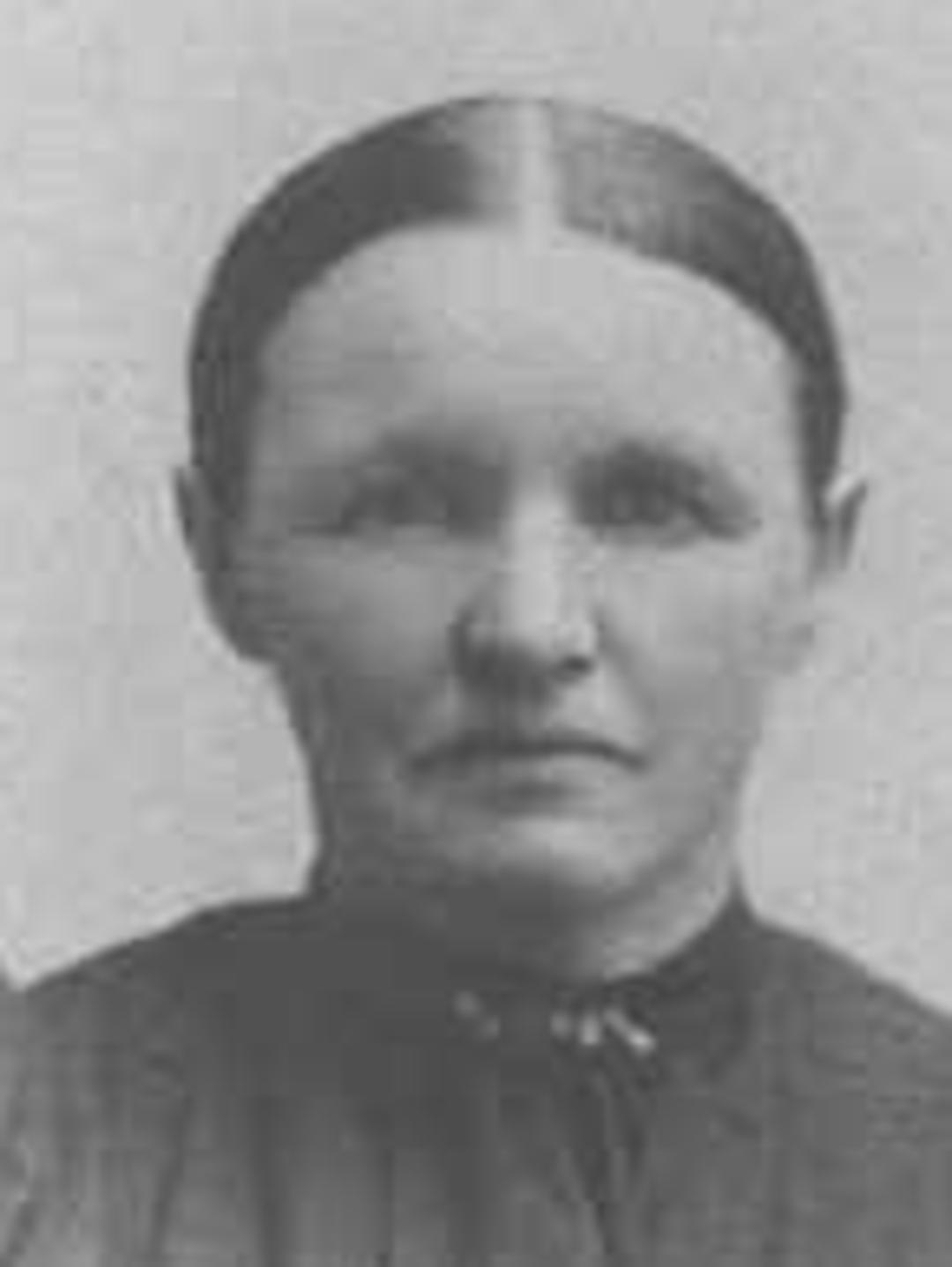 Elizabeth Eckersley (1854 - 1918) Profile